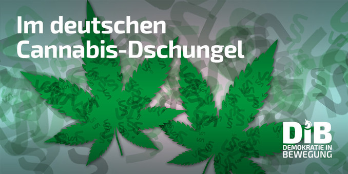 Grafik zeigt Nachbildungen von typischen Cannabisblättern, grün, mehrfingerartige Blattspitzen mit gezahnten Rändern.

Text oben: Im deutschen Cannabis-Dschungel
Logo unten: Demokratie in Bewegung
